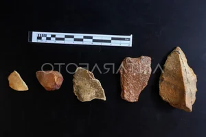 1.5 Million-Year-Old Stone Tools Reveal Ancient Human Secrets - image 4