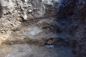 1.5 Million-Year-Old Stone Tools Reveal Ancient Human Secrets - image 3
