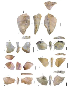1.5 Million-Year-Old Stone Tools Reveal Ancient Human Secrets - image 2