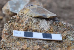 1.5 Million-Year-Old Stone Tools Reveal Ancient Human Secrets - image 6