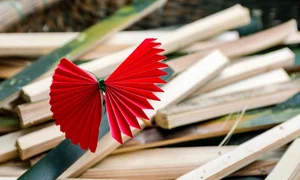 Exploring Thanh Tien: Hue's 300-Year-Old Traditional Paper Flower Village - image 2