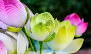 Exploring Thanh Tien: Hue's 300-Year-Old Traditional Paper Flower Village - image 1