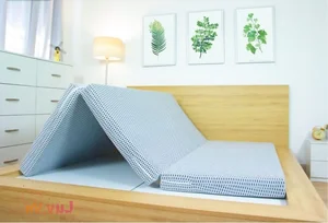 Mattress Guide: Natural Latex vs. Synthetic Latex Comparison - image 2