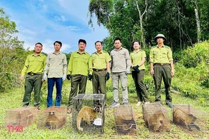Conservation Success: Rare Wildlife Released Into Vu Quang National Park - image 1