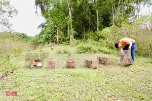 Conservation Success: Rare Wildlife Released Into Vu Quang National Park - image 2