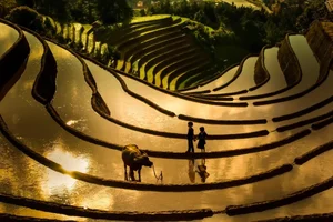 Capturing the Highlands: Vietnam's Nature and People Through Chieu Xuan's Lens - image 1