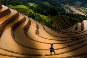 Capturing the Highlands: Vietnam's Nature and People Through Chieu Xuan's Lens - image 4