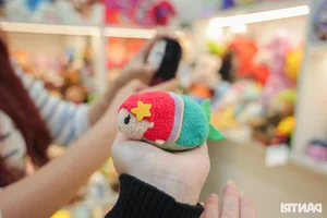 Meet the Hanoi Girl with a Stunning Hundred-Million-Dong Plush Toy Collection - image 3