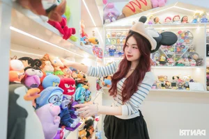 Meet the Hanoi Girl with a Stunning Hundred-Million-Dong Plush Toy Collection - image 2