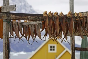 Greenland: Exploring the Majestic Beauty of the Land at the End of the World - image 2