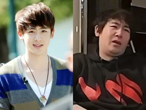 Celebrity Visual Transformation: Showbiz Star's Face Change Sparks Concern - image 3