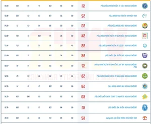 Vietnam University Rankings 2025 Released: New Competitors Enter the Prestigious Top 10 - image 5