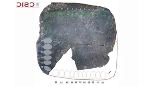 Ancient 2,000-Year-Old Stone Tablet Reveals Secrets of a Lost Civilization - image 0