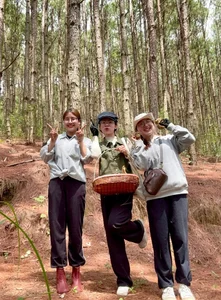 Exploring Da Lat’s Pine Forests: The Ultimate Wild Mushroom Hunting Experience - image 3