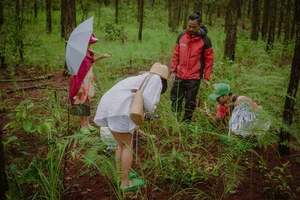 Exploring Da Lat’s Pine Forests: The Ultimate Wild Mushroom Hunting Experience - image 0