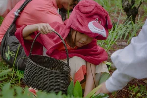 Exploring Da Lat’s Pine Forests: The Ultimate Wild Mushroom Hunting Experience - image 1