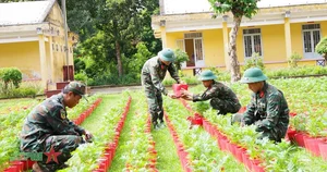 Division 8 Military Region 9 Continues Resilient Traditions - image 14