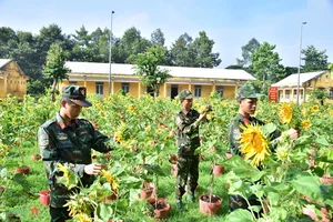 Division 8 Military Region 9 Continues Resilient Traditions - image 10
