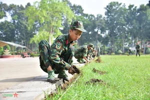 Division 8 Military Region 9 Continues Resilient Traditions - image 8