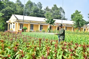 Division 8 Military Region 9 Continues Resilient Traditions - image 12