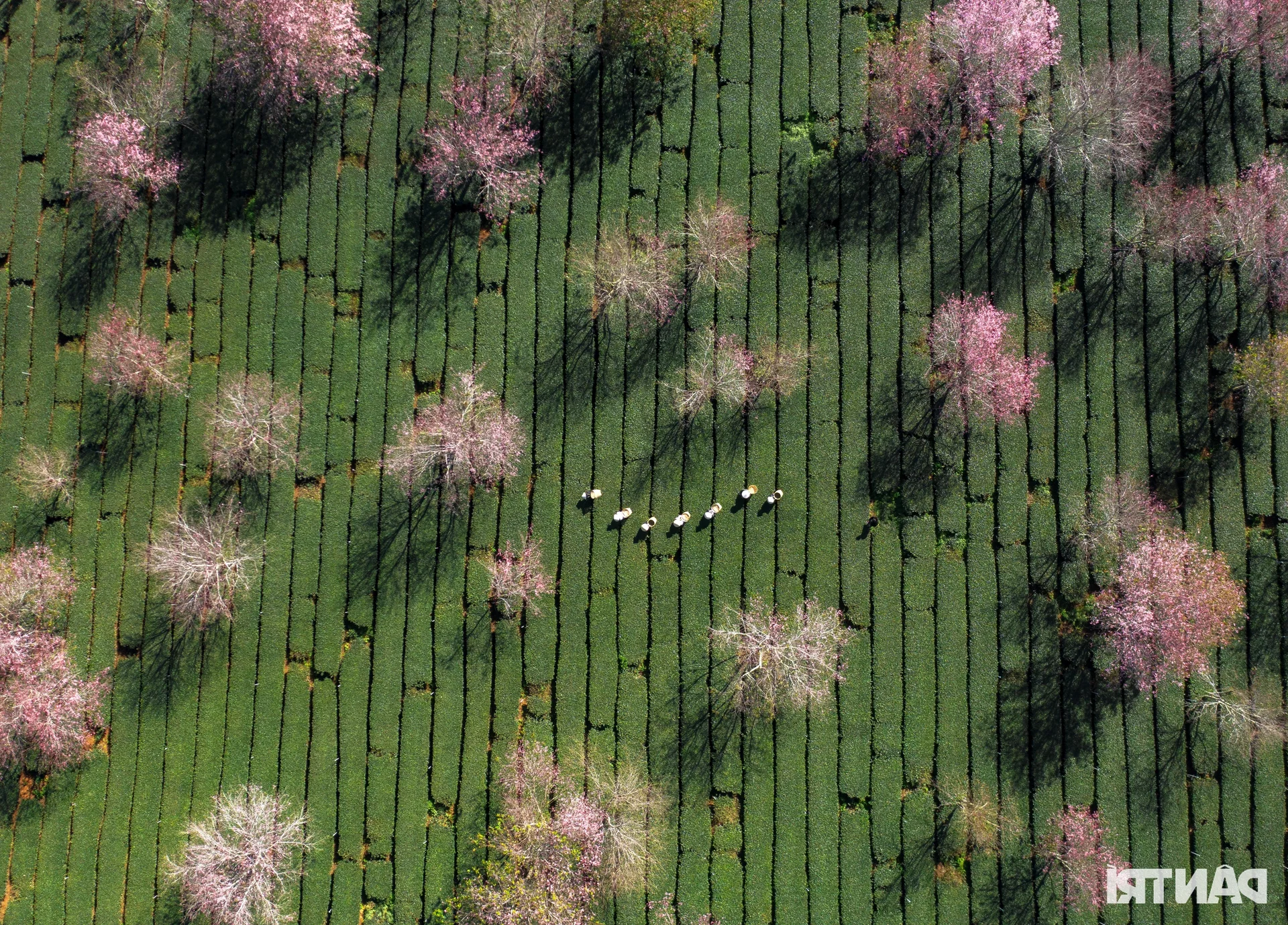 Springtime Captured: 9 Winning Entries from the 'Bringing Spring 2025' Photo Contest