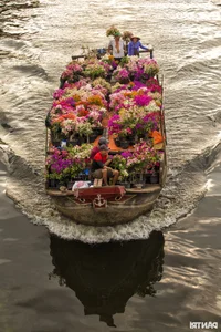 Springtime Captured: 9 Winning Entries from the 'Bringing Spring 2025' Photo Contest - image 1