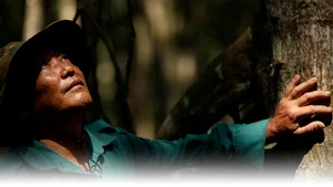The Silent Guardians: Inside the Lives of Dedicated Forest Rangers - image 8