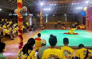 Experiencing the Majestic Royal Martial Arts Show in Hue, Vietnam - image 3