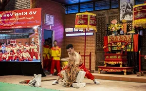 Experiencing the Majestic Royal Martial Arts Show in Hue, Vietnam - image 2