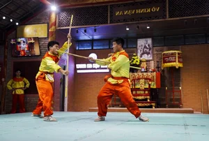 Experiencing the Majestic Royal Martial Arts Show in Hue, Vietnam - image 0
