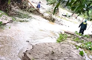 Devastating Flash Floods Cause Significant Damage in Mountainous Nghe An - image 0