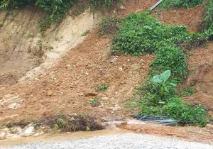 Devastating Flash Floods Cause Significant Damage in Mountainous Nghe An - image 4