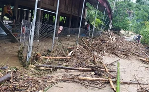 Devastating Flash Floods Cause Significant Damage in Mountainous Nghe An - image 1