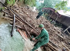 Devastating Flash Floods Cause Significant Damage in Mountainous Nghe An - image 7