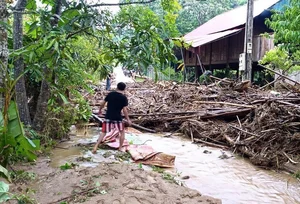 Devastating Flash Floods Cause Significant Damage in Mountainous Nghe An - image 6