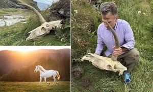 Mysterious Horned Skull Discovered Near King Arthur’s Legendary Castle - image 7