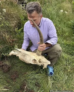 Mysterious Horned Skull Discovered Near King Arthur’s Legendary Castle - image 1