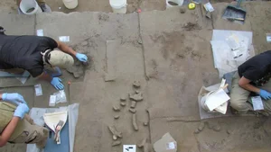 14,000-Year-Old Ivory Tool Reveals Secrets of Our Ancestors - image 5