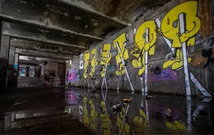Inside the Haunting Abandoned Seminary Hidden Deep in the Forest - image 4