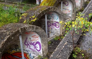 Inside the Haunting Abandoned Seminary Hidden Deep in the Forest - image 5