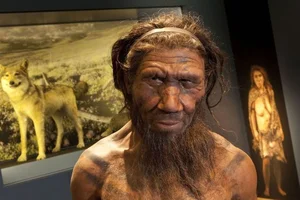 Uncovering the Surprising Migration Secrets of Neanderthals and Human Evolution - image 2