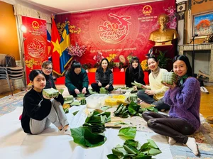 Celebrating Tet Worldwide: How Vietnamese Embassies Bring the Spirit of Lunar New Year to the Globe - image 3