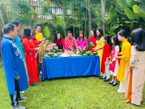 Celebrating Tet Worldwide: How Vietnamese Embassies Bring the Spirit of Lunar New Year to the Globe - image 2