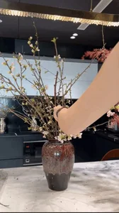 Miss Vietnam Do Ha’s Stunning Lunar New Year 2026 Apartment Decor Revealed - image 5