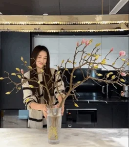 Miss Vietnam Do Ha’s Stunning Lunar New Year 2026 Apartment Decor Revealed - image 0