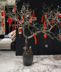 Miss Vietnam Do Ha’s Stunning Lunar New Year 2026 Apartment Decor Revealed - image 7