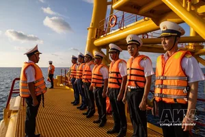 DK1 Platforms: The Resilient Homes Standing Tall Amidst Ocean Waves - image 2