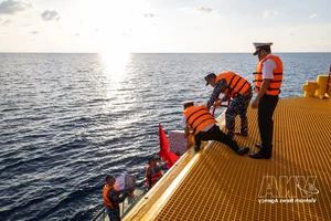 DK1 Platforms: The Resilient Homes Standing Tall Amidst Ocean Waves - image 6