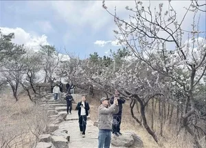 Exploring the World's Largest Royal Garden: A Journey Through China’s Imperial History - image 1
