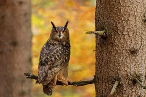 The Incredible Hunting Prowess of the World's Largest Owl Species - image 3